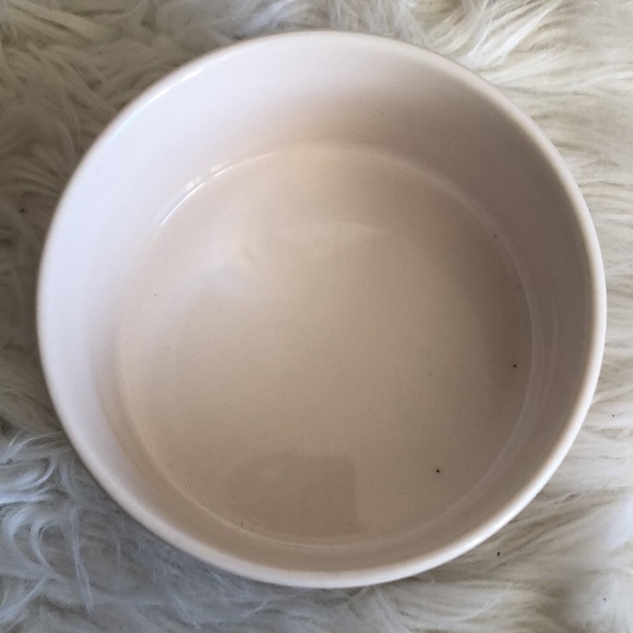 RAE DUNN Pet Water Bowl - Picture 2 of 3